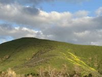 waa't pu valley