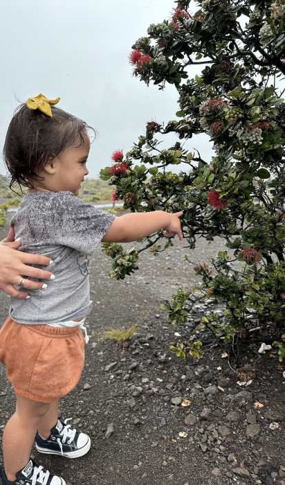 beautiful toddler playing with native hawaiian vegetation